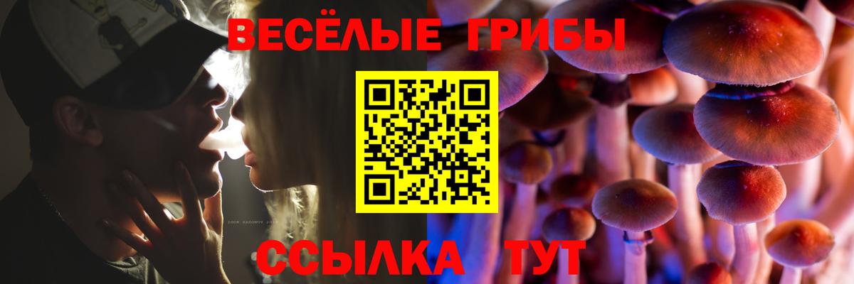 Псилоцибиновые грибы прущие грибы  Вход с VPN  цены наркотик  Псилоцибиновые грибы мухоморы  Иркутск 